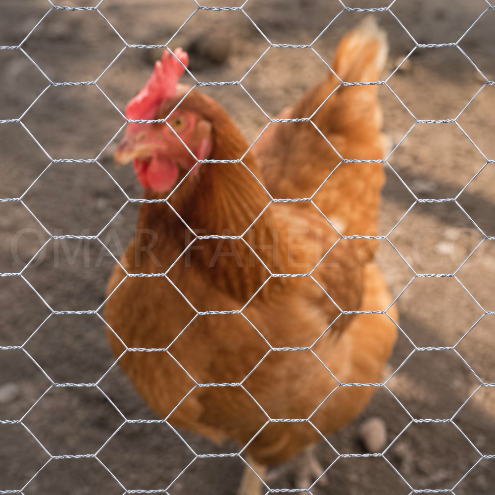 Chicken Wire